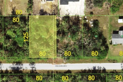 Land in Port Charlotte, Florida № 2162466 - photo 5
