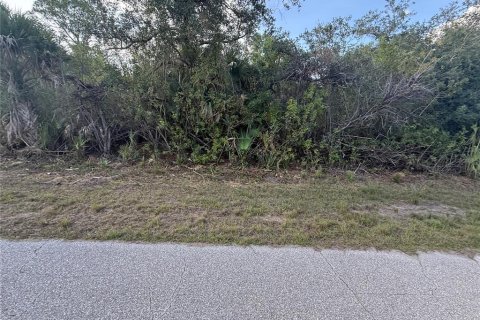 Land in Port Charlotte, Florida № 2162466 - photo 2