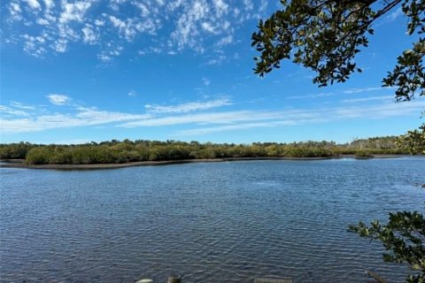 Terreno en Crystal River, Florida № 2207525