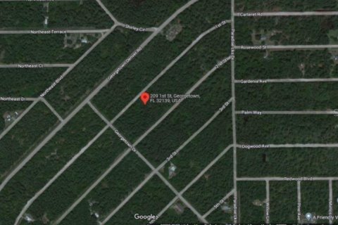 Land in Georgetown, Florida № 1375050 - photo 5