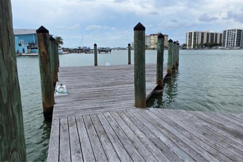 Hotel in Clearwater, Florida 339.28 sq.m. № 2206733 - photo 6