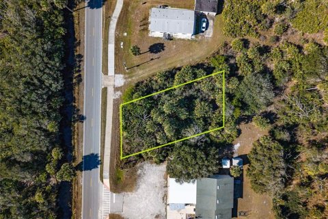 Terrain à Palm Coast, Floride № 2099446