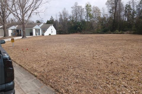Land in Kissimmee, Florida № 2159843