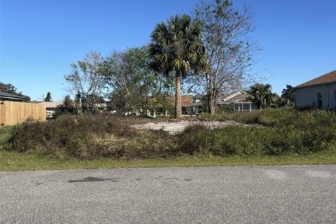 Terreno en venta en Palm Coast, Florida № 1720806 - foto 1