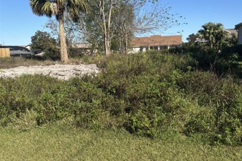 Terreno en venta en Palm Coast, Florida № 1720806 - foto 2