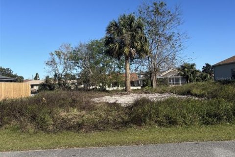 Terreno en venta en Palm Coast, Florida № 1720806 - foto 8