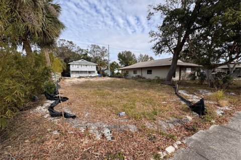 Land in Saint Petersburg, Florida № 1899379 - photo 2