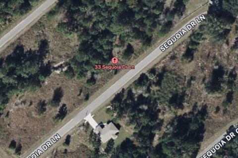 Land in Ocklawaha, Florida № 2165008 - photo 3