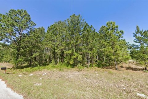 Land in Ocklawaha, Florida № 2165008 - photo 2