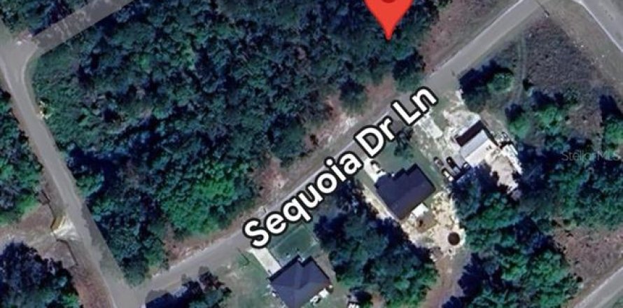 Land in Ocklawaha, Florida № 2165008