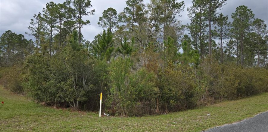 Land in Lake City, Florida № 2143931