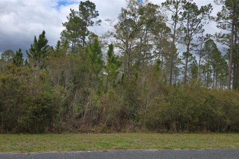 Land in Lake City, Florida № 2143931 - photo 6
