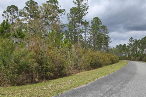 Land in Lake City, Florida № 2143931 - photo 2
