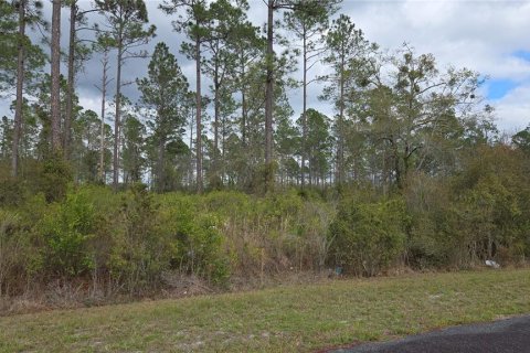 Land in Lake City, Florida № 2143931 - photo 4