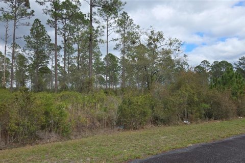Land in Lake City, Florida № 2143931 - photo 3