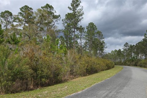 Land in Lake City, Florida № 2143931 - photo 5