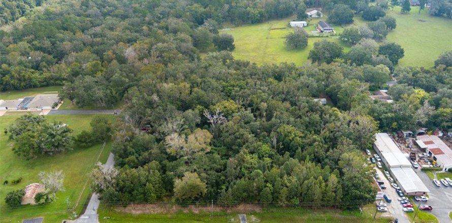 Terrain à Brooksville, Floride № 1422094