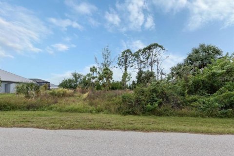 Land in Port Charlotte, Florida № 1553417 - photo 1