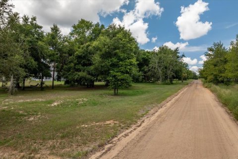 Terreno en venta en Groveland, Florida № 1843185 - foto 10