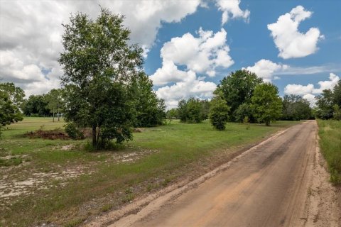Terreno en venta en Groveland, Florida № 1843185 - foto 11