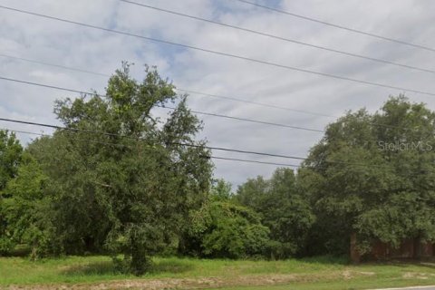 Terreno en venta en Groveland, Florida № 1843185 - foto 2