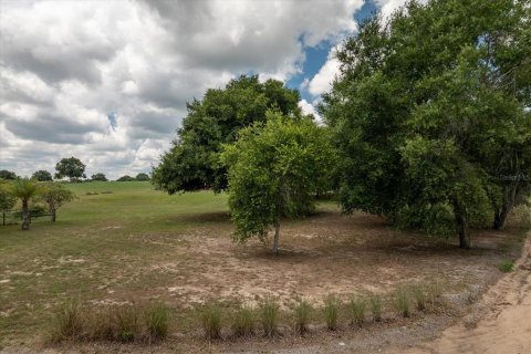 Terreno en venta en Groveland, Florida № 1843185 - foto 9
