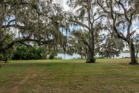 Terreno en venta en Groveland, Florida № 1843185 - foto 6