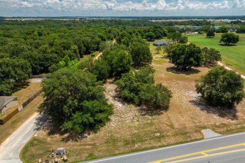 Terreno en venta en Groveland, Florida № 1843185 - foto 4