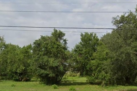 Terreno en venta en Groveland, Florida № 1843185 - foto 1