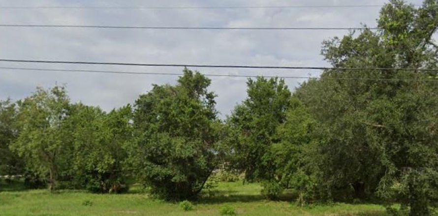 Land in Groveland, Florida № 1843185