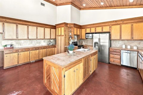 Villa ou maison à vendre à Bronson, Floride: 5 chambres, 445.93 m2 № 2388552 - photo 13