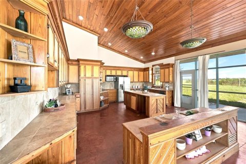 Villa ou maison à vendre à Bronson, Floride: 5 chambres, 445.93 m2 № 2388552 - photo 12