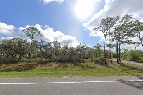 Terreno en venta en Polk City, Florida № 2235004 - foto 2