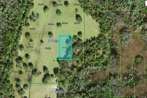 Terreno en Polk City, Florida № 2235004