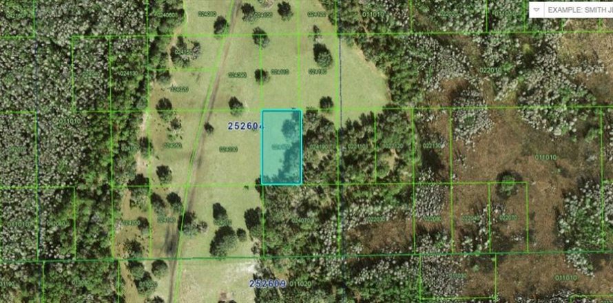 Terreno en Polk City, Florida № 2235004