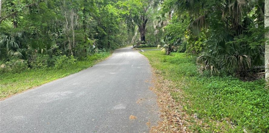 Land in DeBary, Florida № 2159719