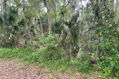 Land in DeBary, Florida № 2159719 - photo 4