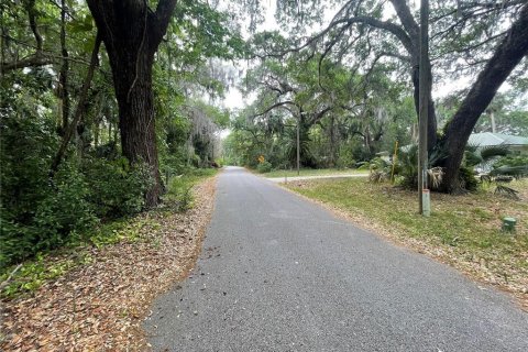 Land in DeBary, Florida № 2159719 - photo 5