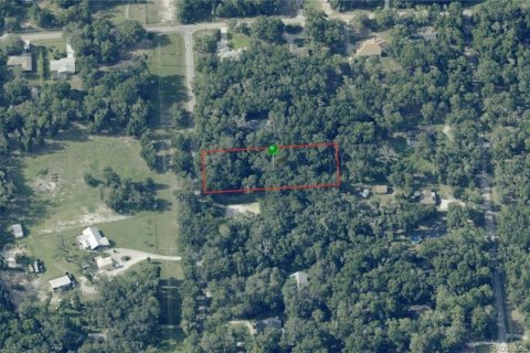 Land in Inverness, Florida № 2229003 - photo 5