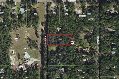 Land in Inverness, Florida № 2229003 - photo 6