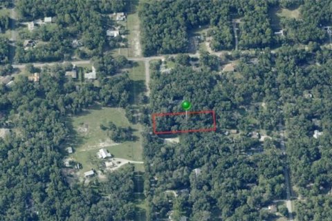 Land in Inverness, Florida № 2229003 - photo 4