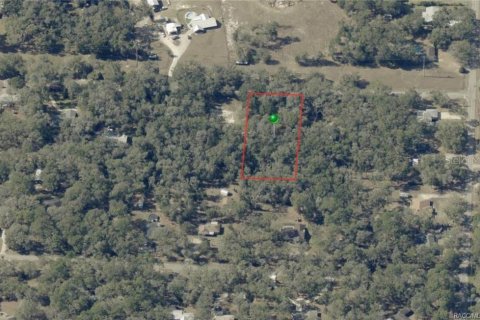 Land in Inverness, Florida № 2229003 - photo 3