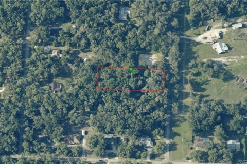 Land in Inverness, Florida № 2229003
