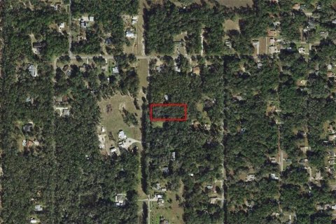 Land in Inverness, Florida № 2229003 - photo 2