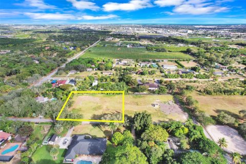 Купить земельный участок в Хомстед, Флорида № 2033198 - фото 14