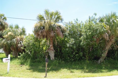 Land in Port Charlotte, Florida № 2161288 - photo 9