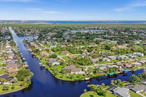 Land in Port Charlotte, Florida № 2161288 - photo 18