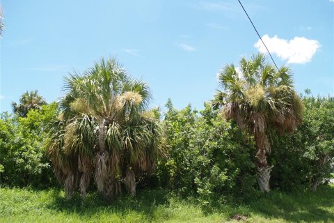 Land in Port Charlotte, Florida № 2161288 - photo 17