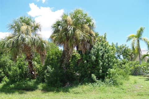 Land in Port Charlotte, Florida № 2161288 - photo 11