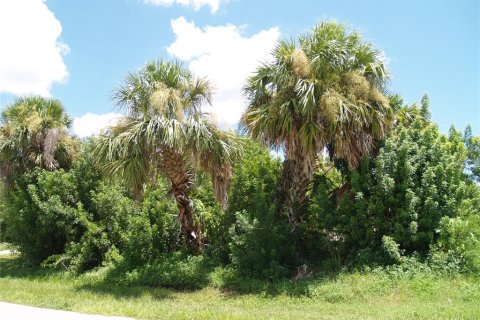 Land in Port Charlotte, Florida № 2161288 - photo 12
